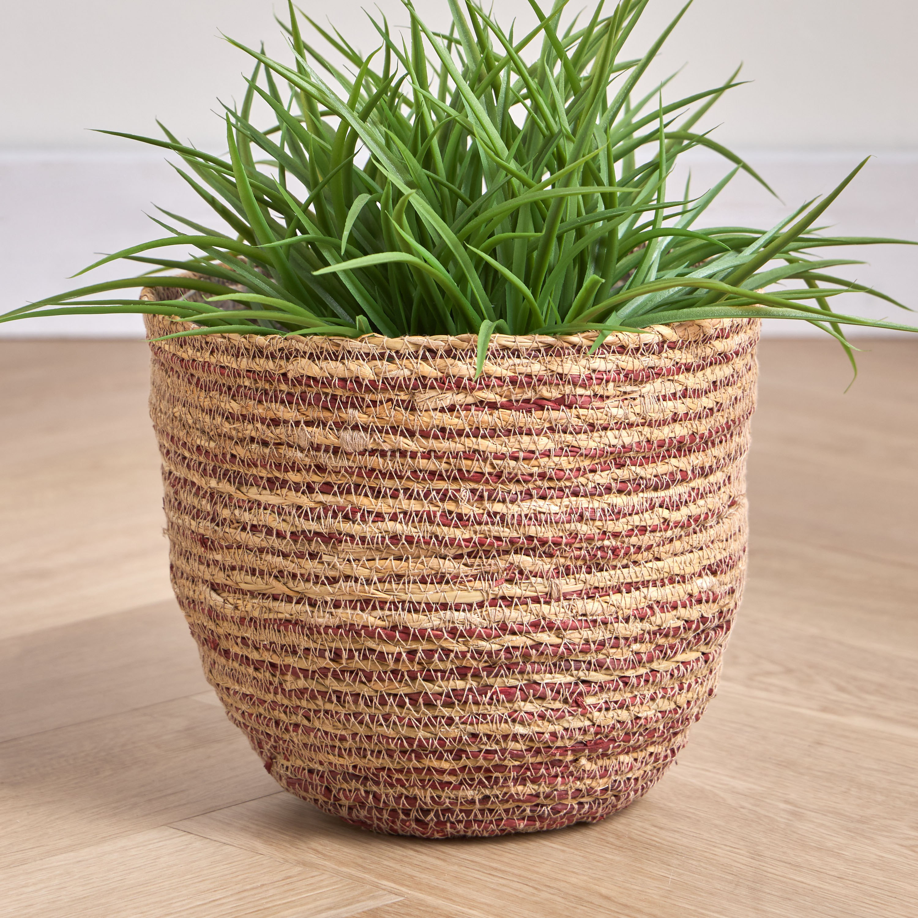 Caresto Seagrass Planter - 22 cm-household-gardenandoutdoor-potsandplanters-planters-image-1