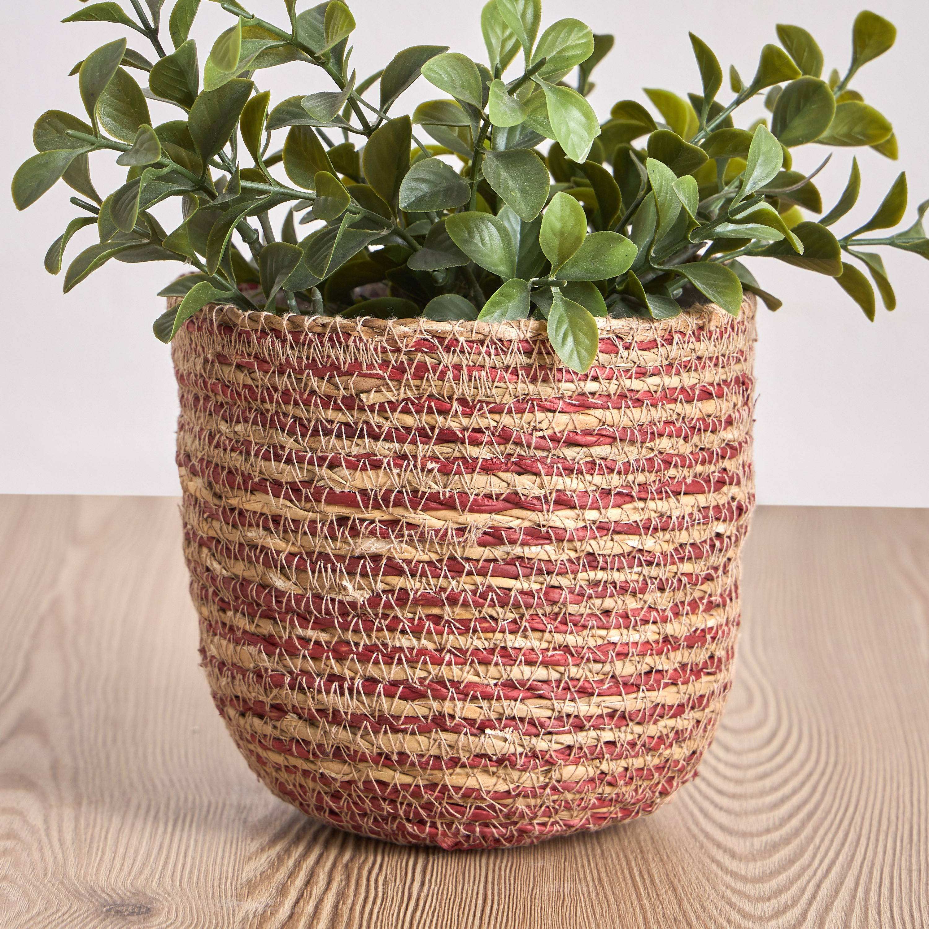 Caresto Seagrass Planter - 15 cm-household-gardenandoutdoor-potsandplanters-planters-image-1