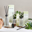موزع عطور أعواد القصب تيمبر ميست - فيردور آي دي - 480 مل-household-homefragrance-reeddiffusers-image-1
