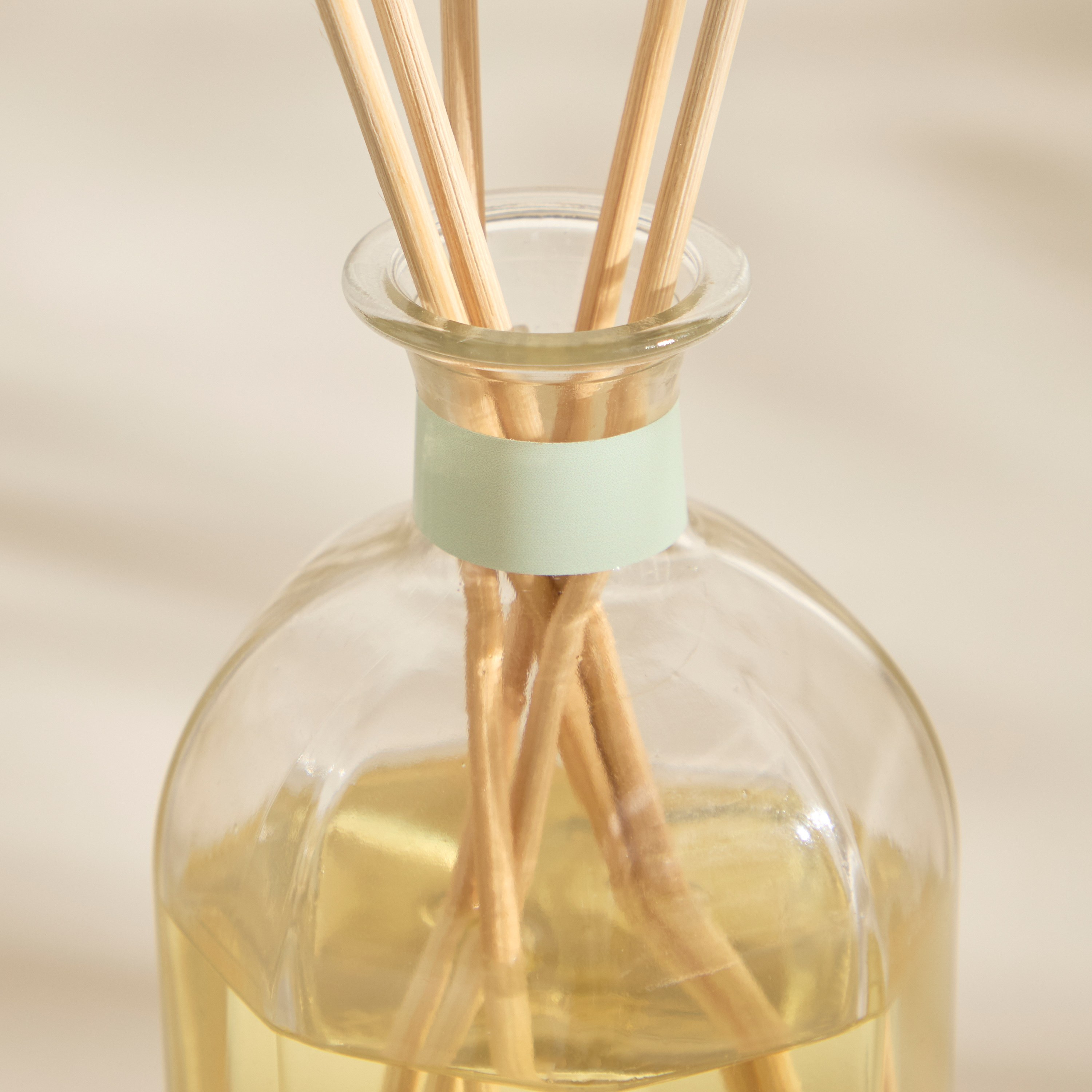 Lacrosse Mentha Flora Scented Reed Diffuser Set - 15 ml-household-homefragrance-fragranceoilsandessence-image-3