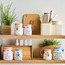 Bella Storage Jar - 500 ml-household-kitchen-foodstorage-canistersandjars-image-3
