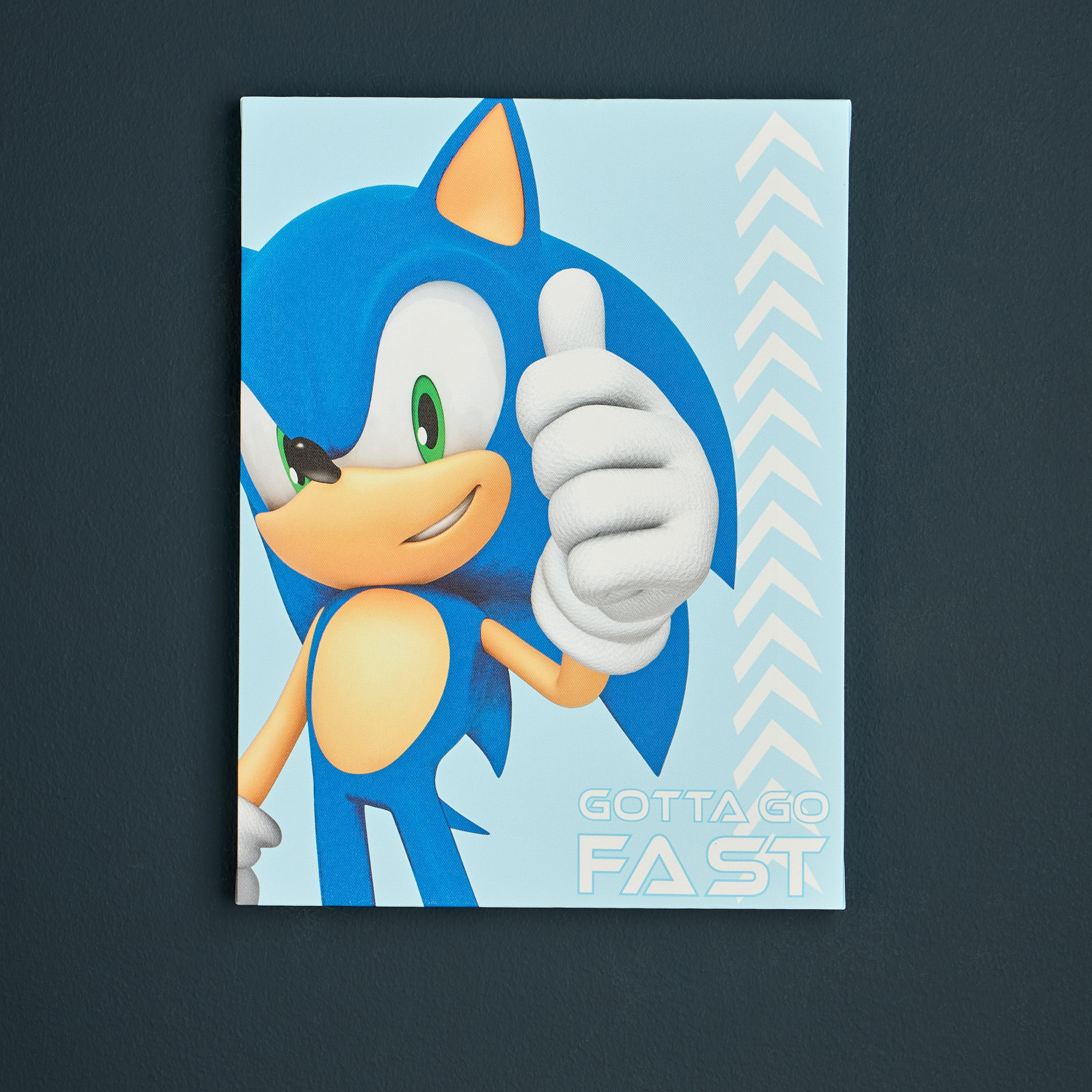 Gotta Go Fast Sonic Canvas Wall Art - 30x40 cm-babyandkids-decorandlighting-decor-wallart-image-1