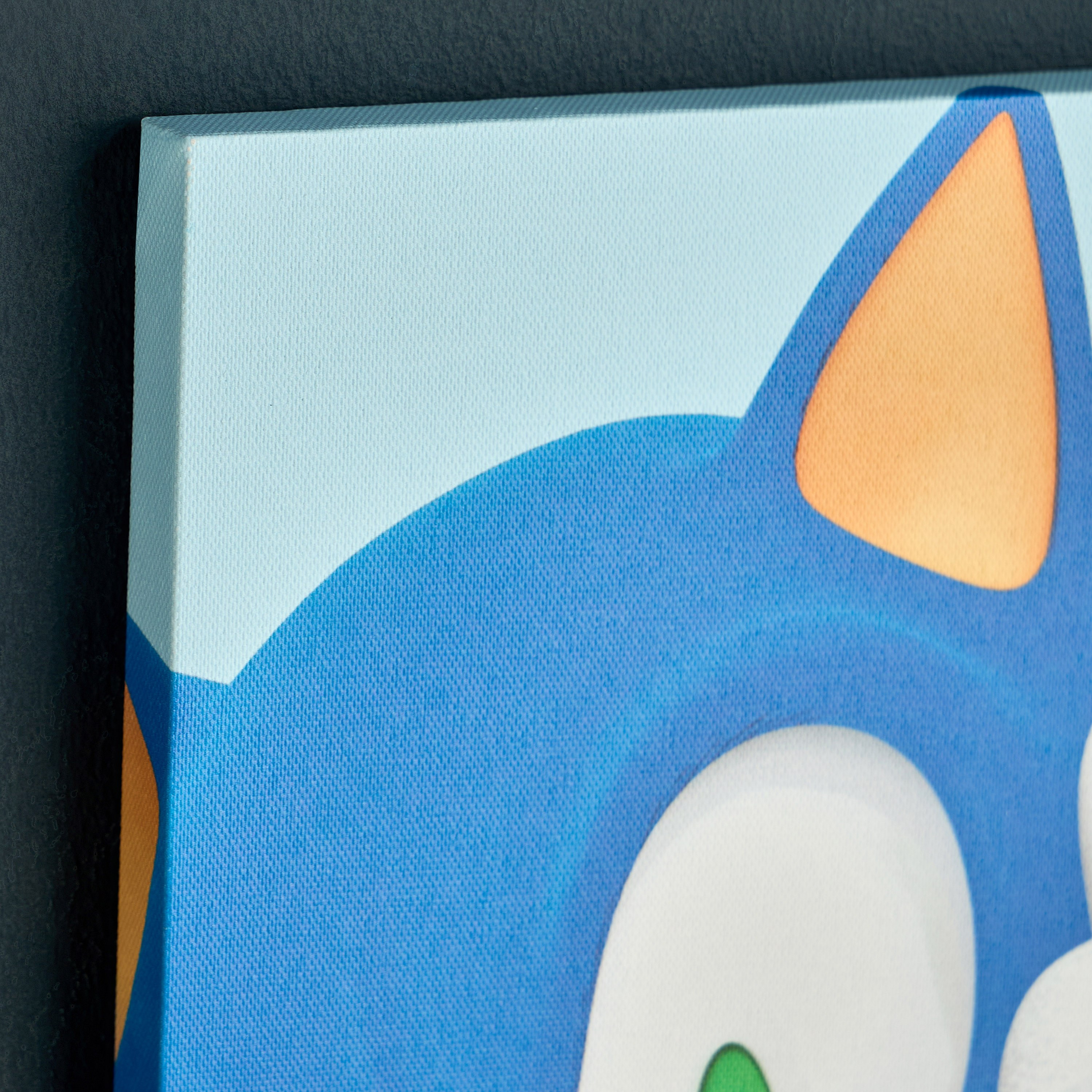 Gotta Go Fast Sonic Canvas Wall Art - 30x40 cm-babyandkids-decorandlighting-decor-wallart-image-2