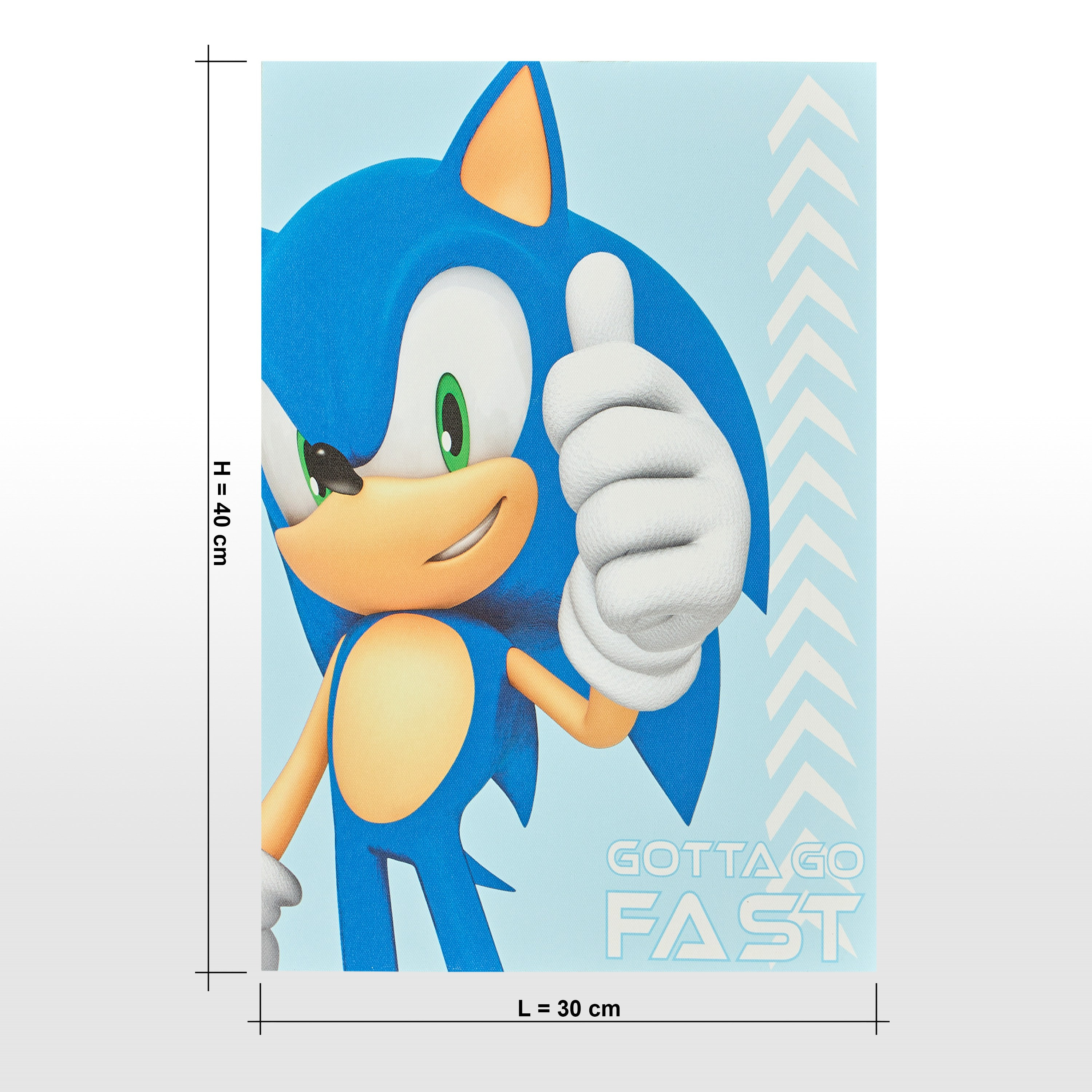 Gotta Go Fast Sonic Canvas Wall Art - 30x40 cm-babyandkids-decorandlighting-decor-wallart-image-4