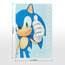 Gotta Go Fast Sonic Canvas Wall Art - 30x40 cm-kids-decorandlighting-decor-wallart-image-4