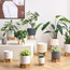 Chloe Ceramic Planter - 34 cm-household-gardenandoutdoor-potsandplanters-planters-image-4