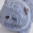 Cat Soft Toy - 30 cm-toys-plushsofttoys-cartooncharacters-image-2