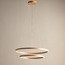 Antoine 2-Lights LED Pendant Lamp-household-lighting-ceilinglamps-pendantlamps-image-1