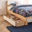 Atlas Bed Drawer-kids-kidsbeds-trundlesandunderbeds-image-2
