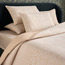 Roberto Cavalli Home Cotton 3-Piece Super King Duvet Cover Set - 220x260 cm-household-giftingaccessories-giftings-image-1