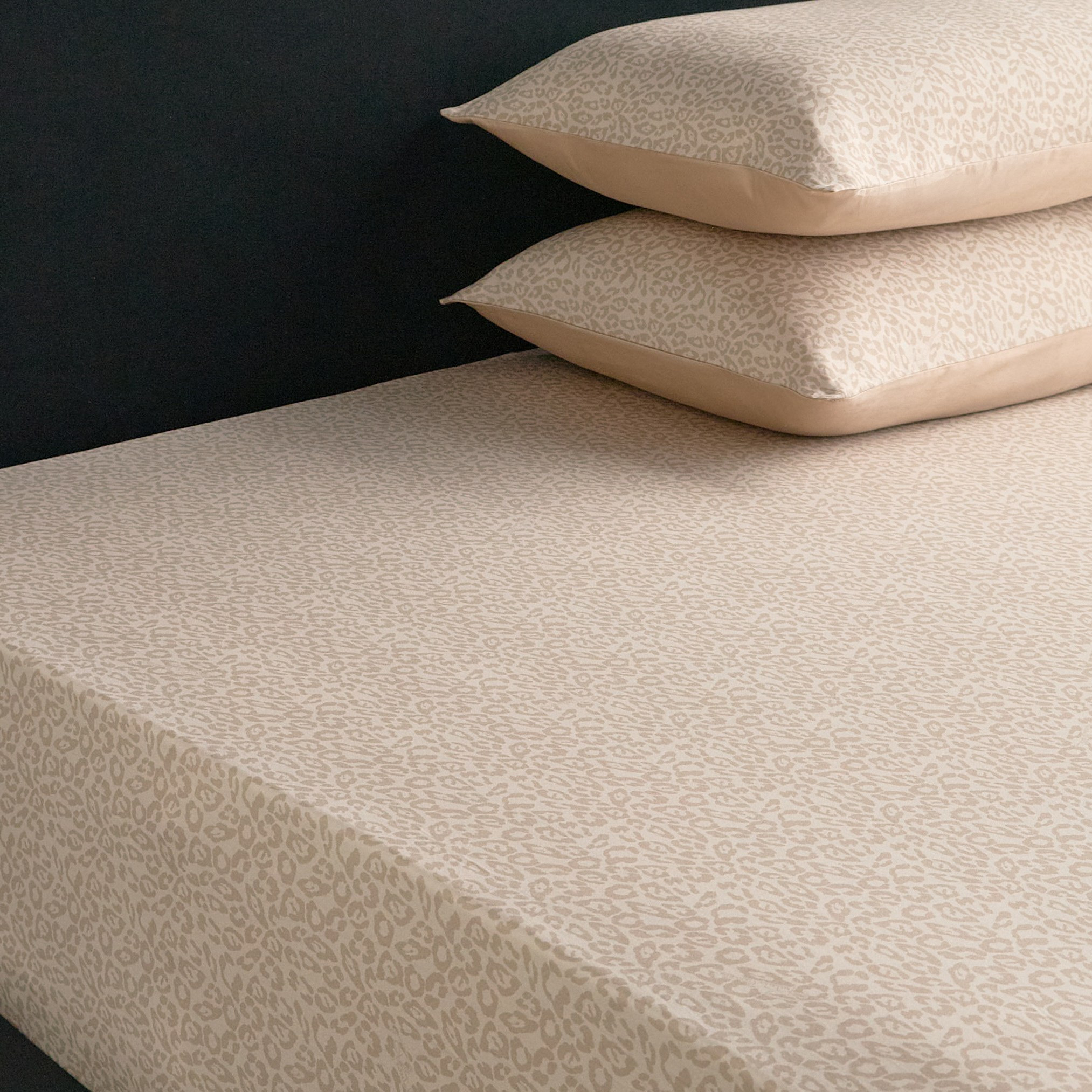 Roberto Cavalli Home Cotton 2-Piece Pillowcase Set - 50x75 cm-household-bedding-sheetsandpillowcases-pillowcases-image-5