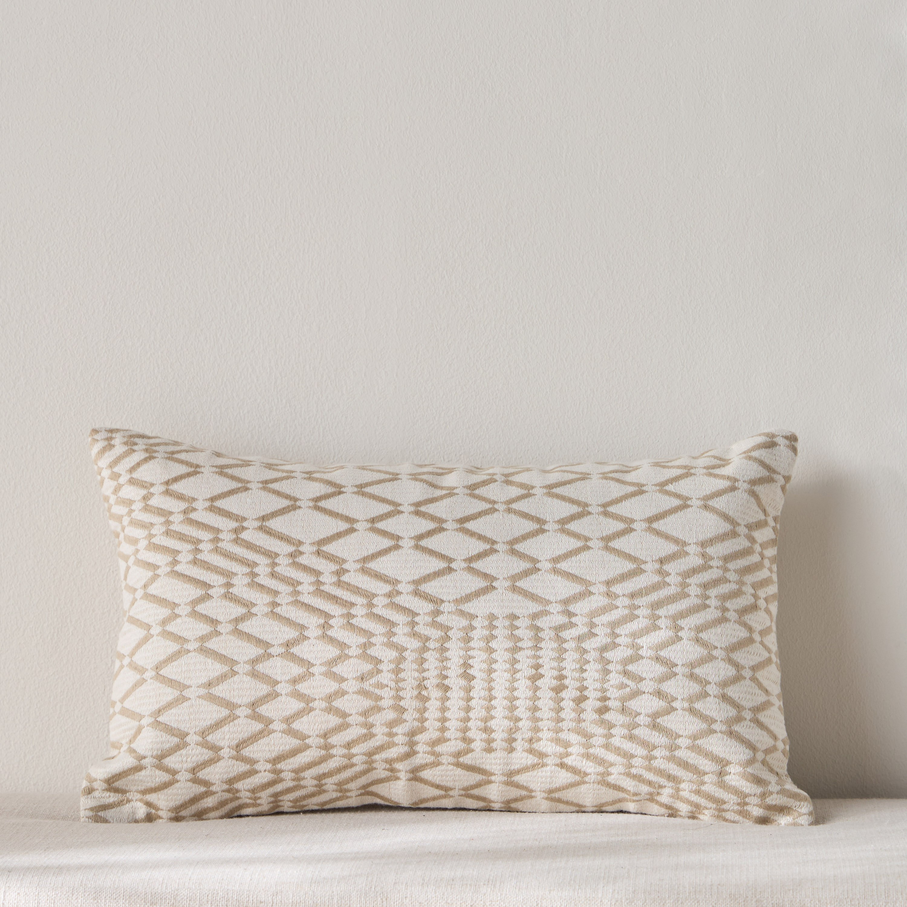 Glam Geo Embroidered Filled Cushion - 30x50 cm-household-cushionsandthrows-filledcushions-decorativecushions-image-1