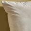 Pena Filled Cushion - 50x50 cm-household-cushionsandthrows-filledcushions-decorativecushions-image-2