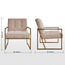 كرسي مخمل بمساند ذراعين - بلاو-furniture-sofaandseating-armchairs-image-1