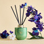 Masters Van Gogh The Irises Lyrical Jasmine Reed Diffuser - 200 ml-household-giftingaccessories-giftings-image-1