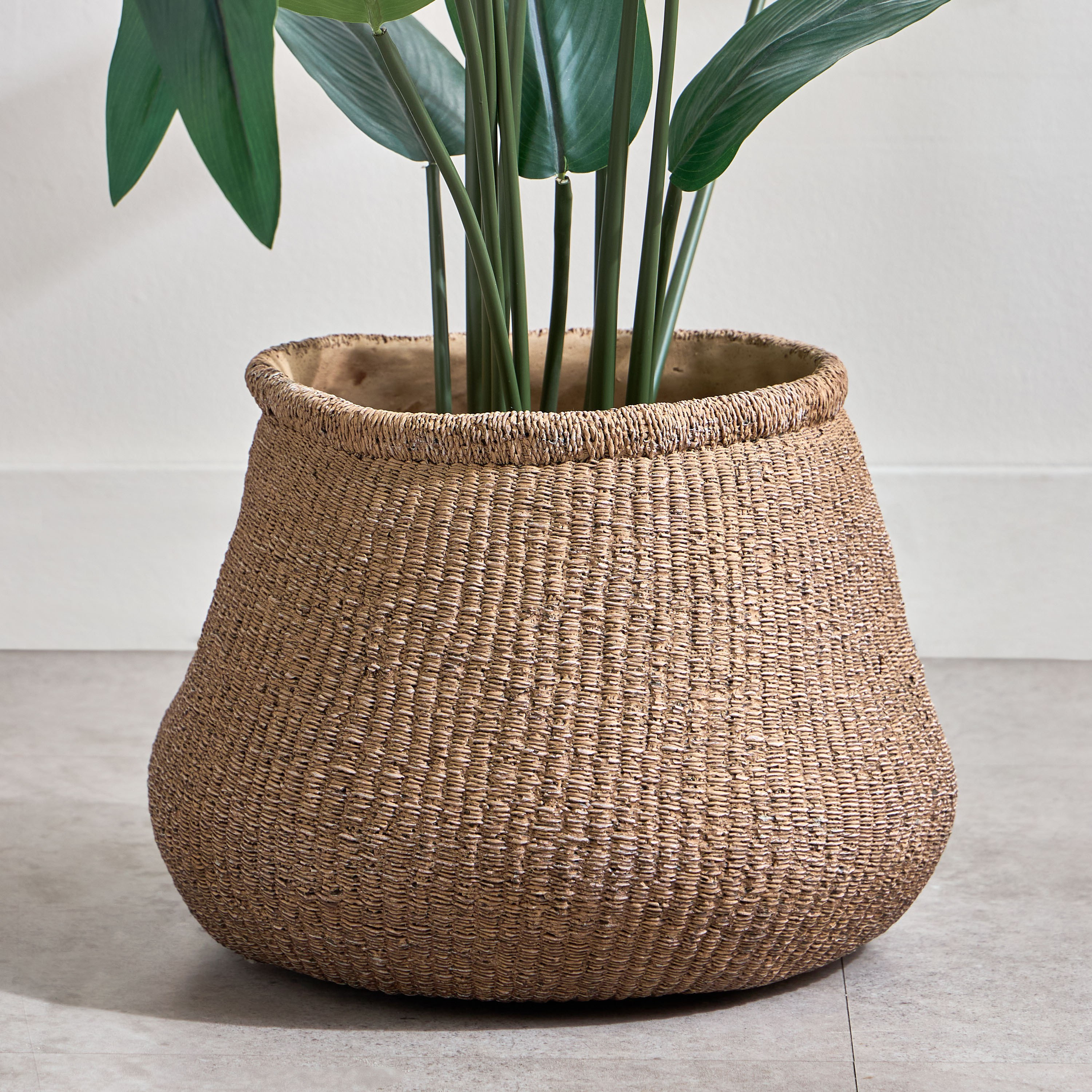 Calcify Mord Cement Planter - 30 cm-household-gardenandoutdoor-potsandplanters-planters-image-1