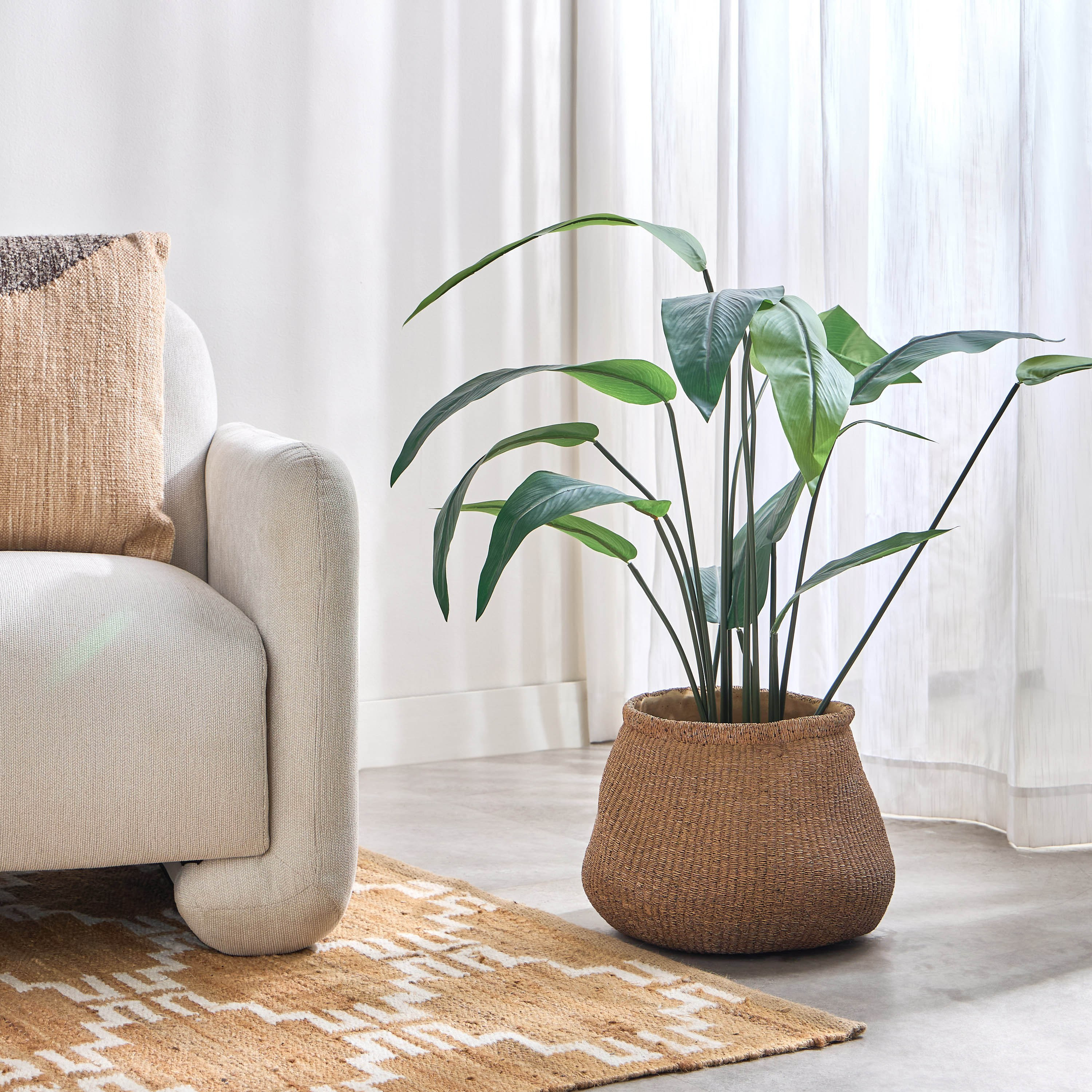 Calcify Mord Cement Planter - 30 cm-household-gardenandoutdoor-potsandplanters-planters-image-4