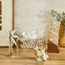 Zukora Bakhoor Burner-household-homefragrance-burners-image-3