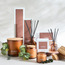 Aromea Eucalyptus Wood Scented Jar Candle-household-homefragrance-candles-image-4