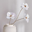 غصن فالاينوبسيس - 79 سم-household-christmas-wreathsgarlandsandflowers-flowers-image-3