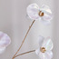 غصن فالاينوبسيس - 79 سم-household-christmas-wreathsgarlandsandflowers-flowers-image-2