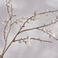 غصن ياسمين لؤلؤي - 73 سم-household-christmas-wreathsgarlandsandflowers-flowers-image-2
