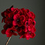 زينة بتصميم نبات الهيدرانجيا - 26x66 سم-household-christmas-wreathsgarlandsandflowers-flowers-image-2