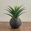 نبتة باندانوس سوداء في إناء زرع - أوربانو - 63 سم-household-gardenandoutdoor-artificialplants-pottedplants-image-5
