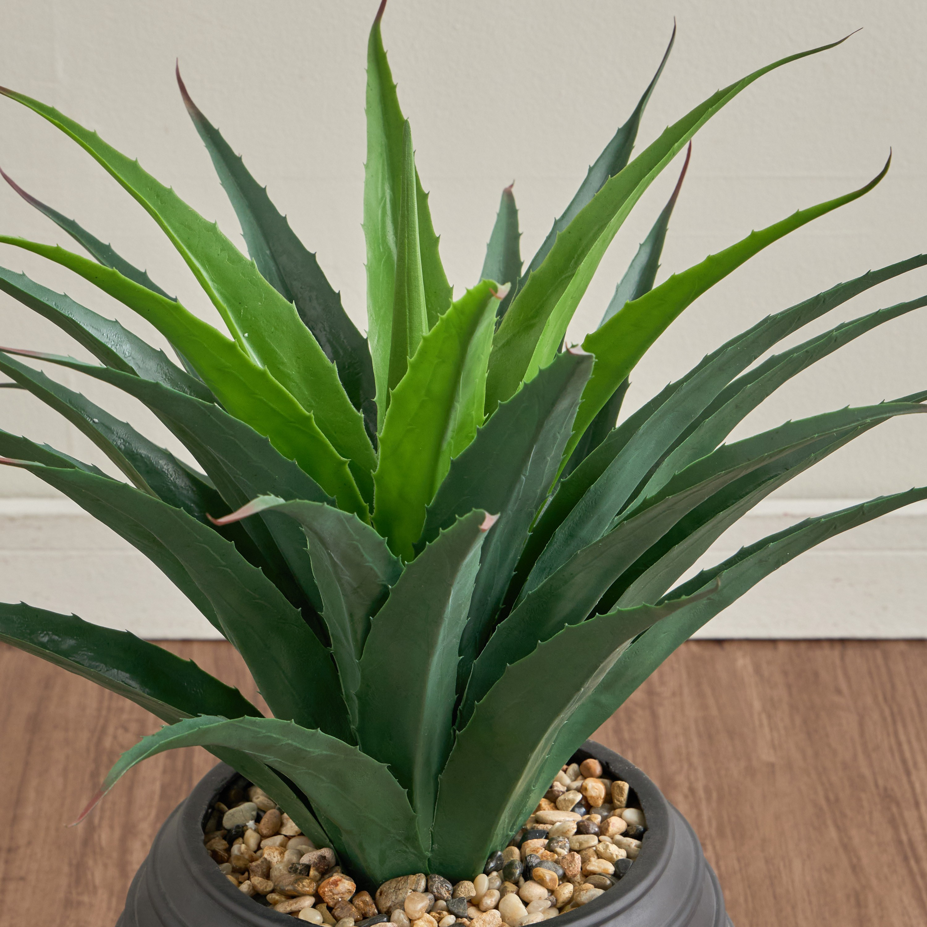 Shop Urbano Black Pandanus Plant in Pot - 63 cm | Homecentre Egypt