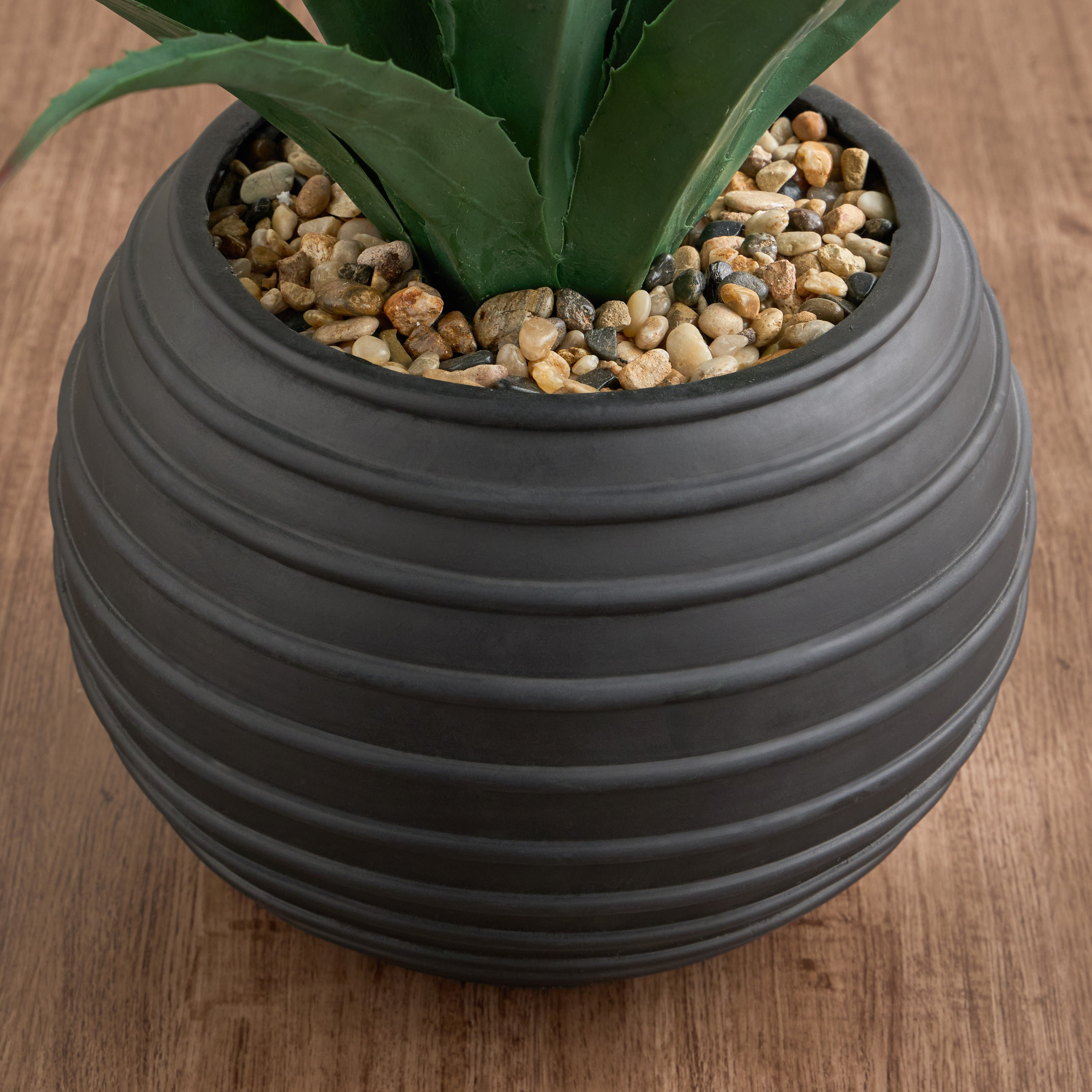 Shop Urbano Black Pandanus Plant in Pot - 63 cm | Homecentre Egypt
