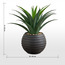نبتة باندانوس سوداء في إناء زرع - أوربانو - 63 سم-household-gardenandoutdoor-artificialplants-pottedplants-image-1