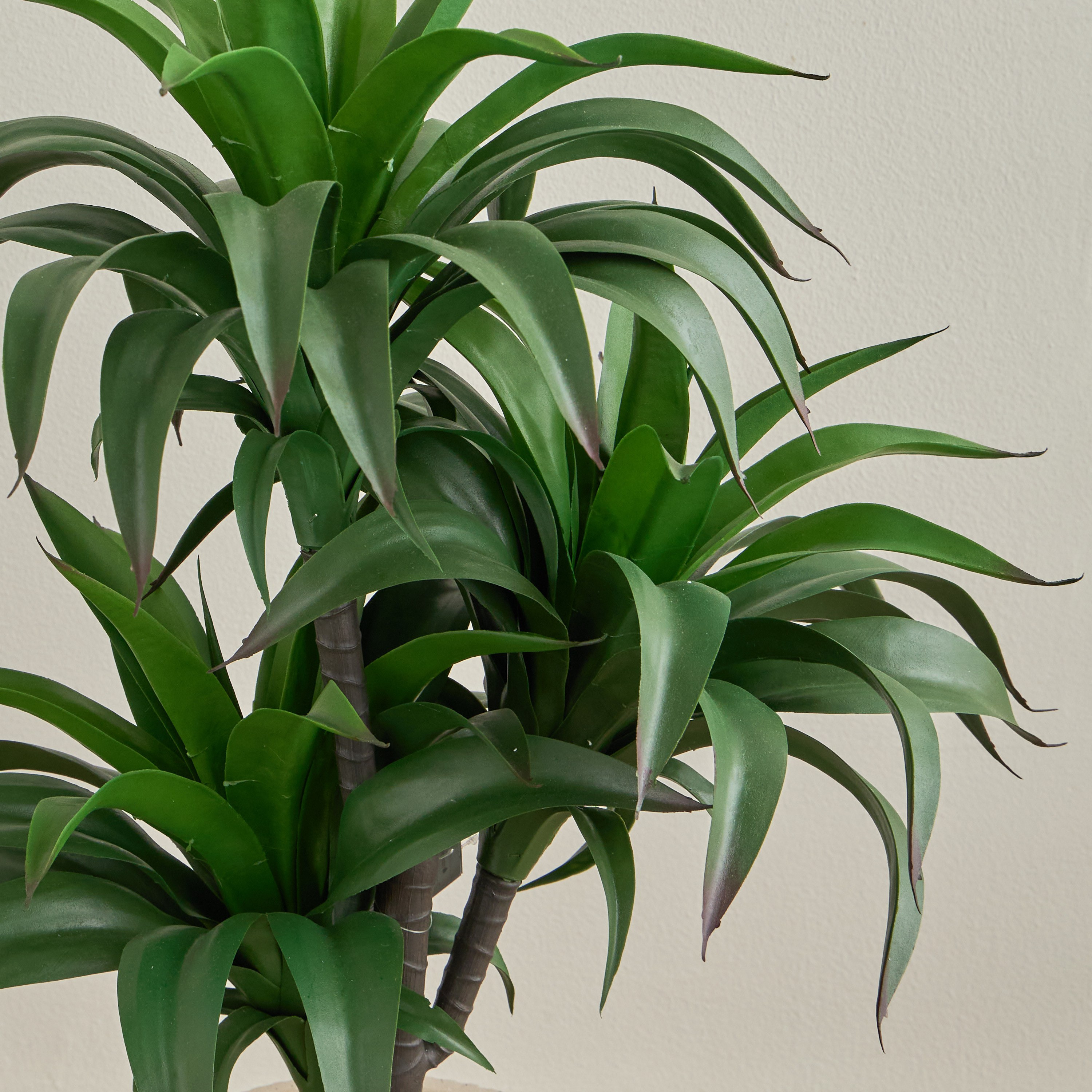 نبتة ألوي في إناء زرع - شانتلي - 102 سم-household-gardenandoutdoor-artificialplants-pottedplants-image-2