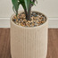Chantilly Aloe Plant in Pot - 102 cm-household-gardenandoutdoor-artificialplants-pottedplants-image-3