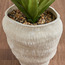 نبتة أغاف في إناء زرع - تيرا - 62 سم-household-gardenandoutdoor-artificialplants-pottedplants-image-3