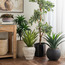 نبتة أغاف في إناء زرع - تيرا - 62 سم-household-gardenandoutdoor-artificialplants-pottedplants-image-2