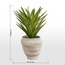 نبتة أغاف في إناء زرع - تيرا - 62 سم-household-gardenandoutdoor-artificialplants-pottedplants-image-1