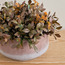 Slate Bay Leaves Plant in Pot - 22 cm-household-gardenandoutdoor-artificialplants-pottedplants-image-2