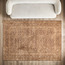 سجادة - أنيت - 240x360 سم-household-rugsandcarpets-rugs-image-5