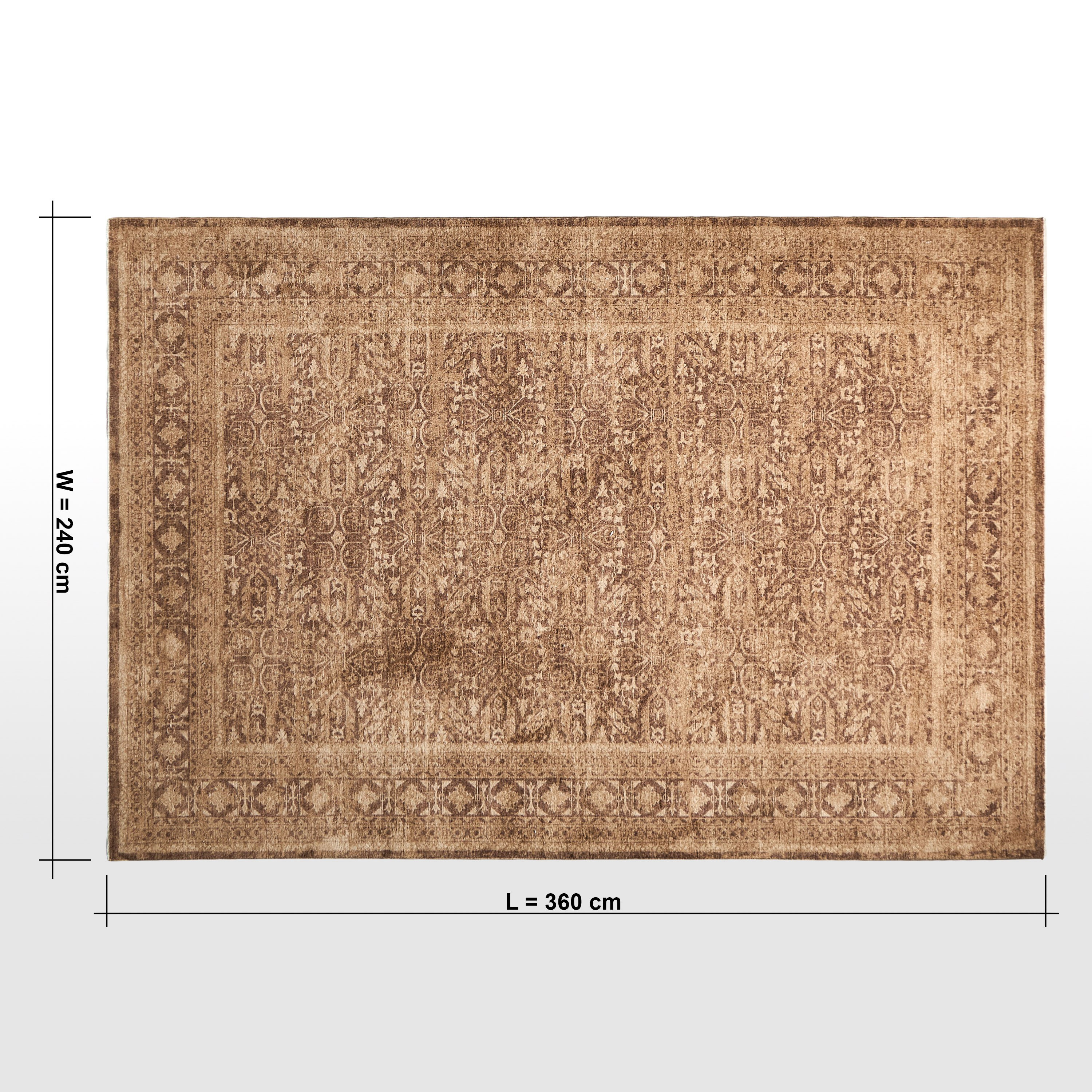 سجادة - أنيت - 240x360 سم-household-rugsandcarpets-rugs-image-6