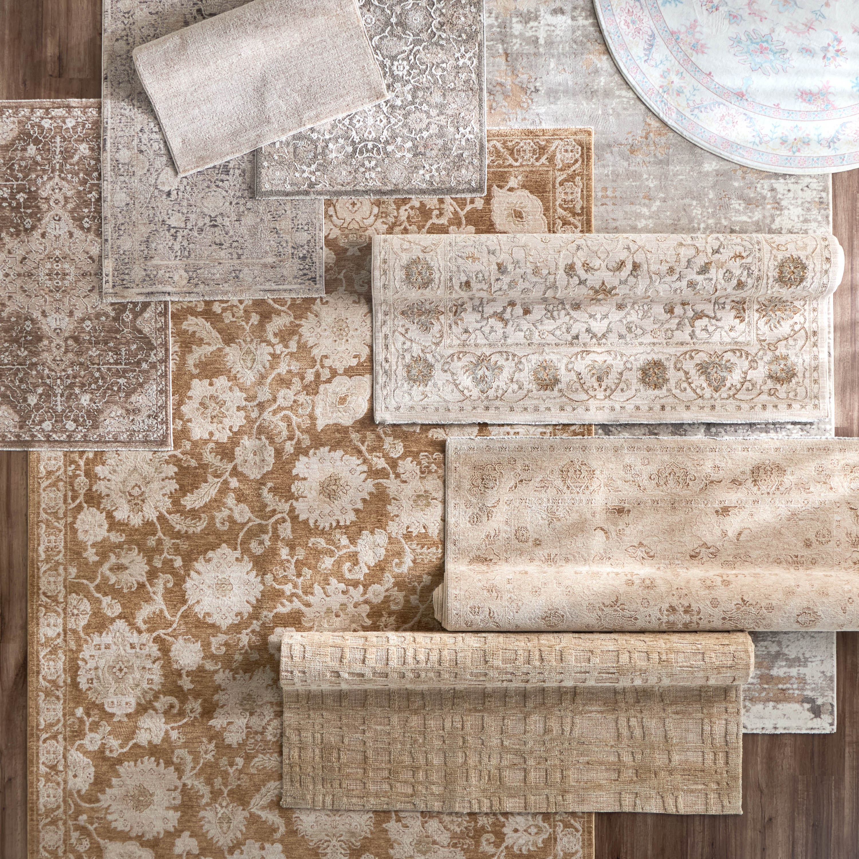 سجادة - سيلينيا - 200x290 سم-household-rugsandcarpets-rugs-image-5