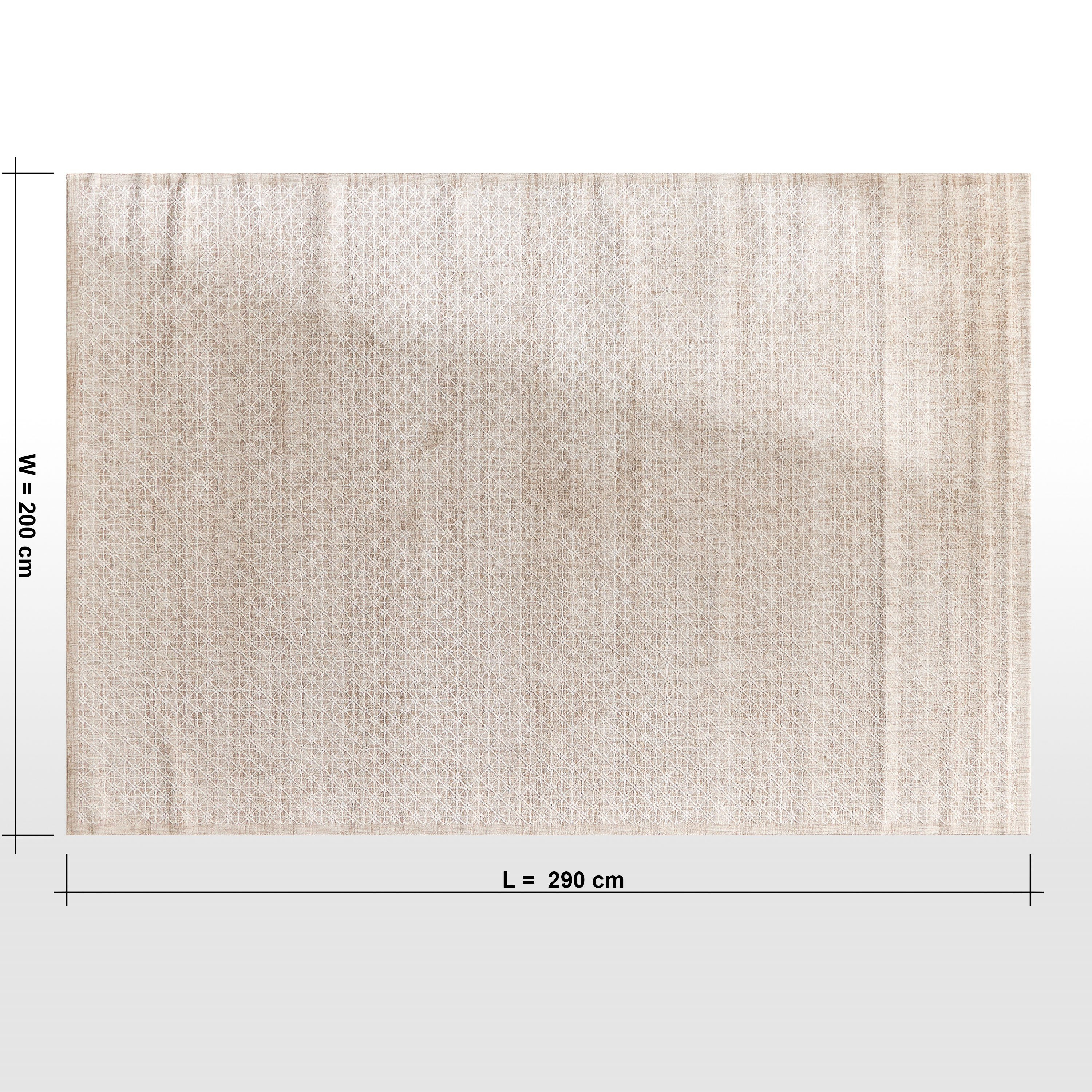 Trevor Rug - 200x290 cm-household-rugsandcarpets-rugs-image-6