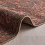 سجادة - أموريس - 300x400 سم-household-rugsandcarpets-rugs-image-3