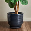 أصيص سيراميك - كورال - 33 سم-household-gardenandoutdoor-potsandplanters-planters-image-3