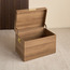 صندوق تخزين - تيا - 60x40x40 سم-household-storage-storagesolutions-trunks-image-6