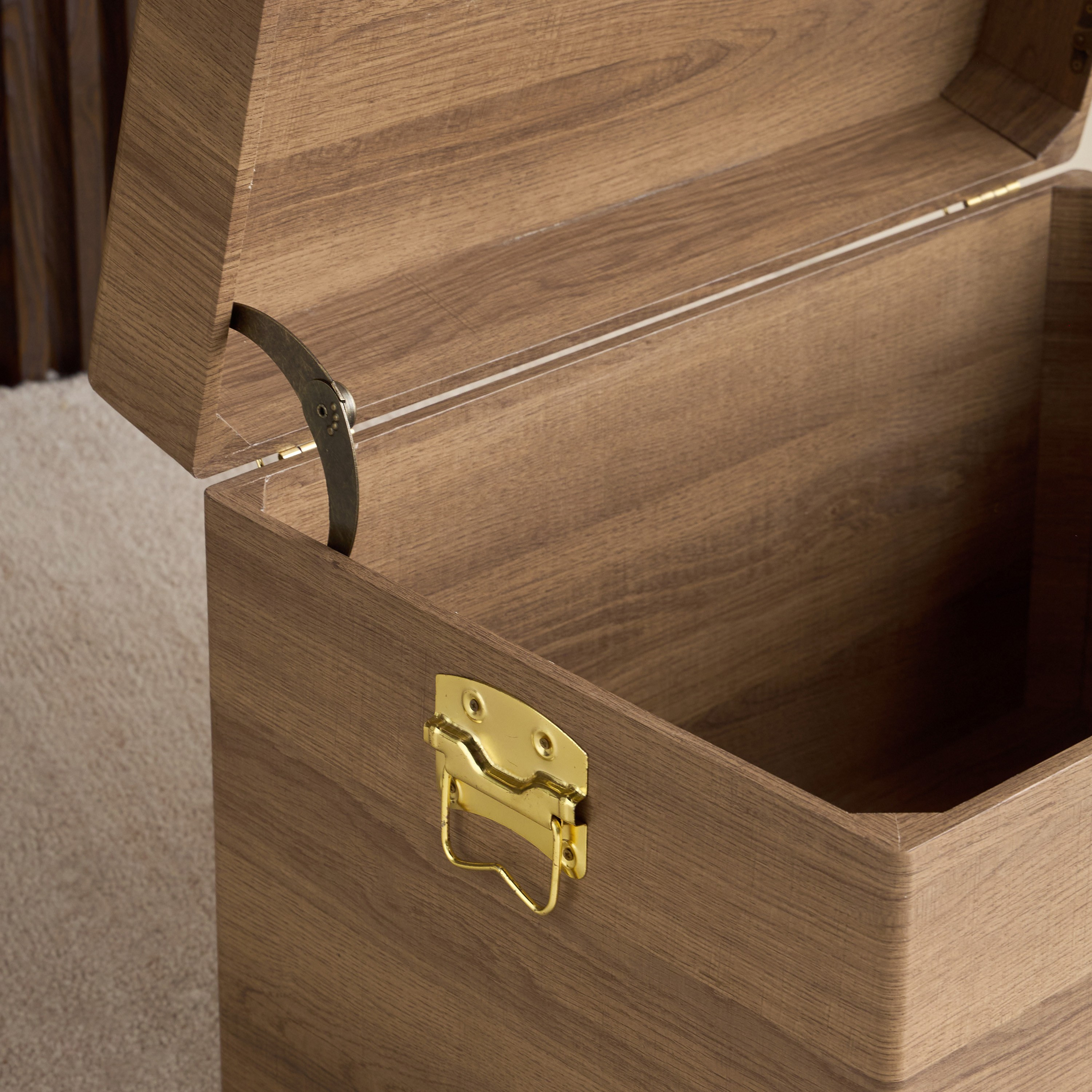 Teya Storage Trunk - 60x40x40 cm-household-storage-storagesolutions-trunks-image-5