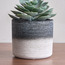 إناء زرع سيراميك - فريزيا - 10 سم-household-gardenandoutdoor-potsandplanters-planters-image-5