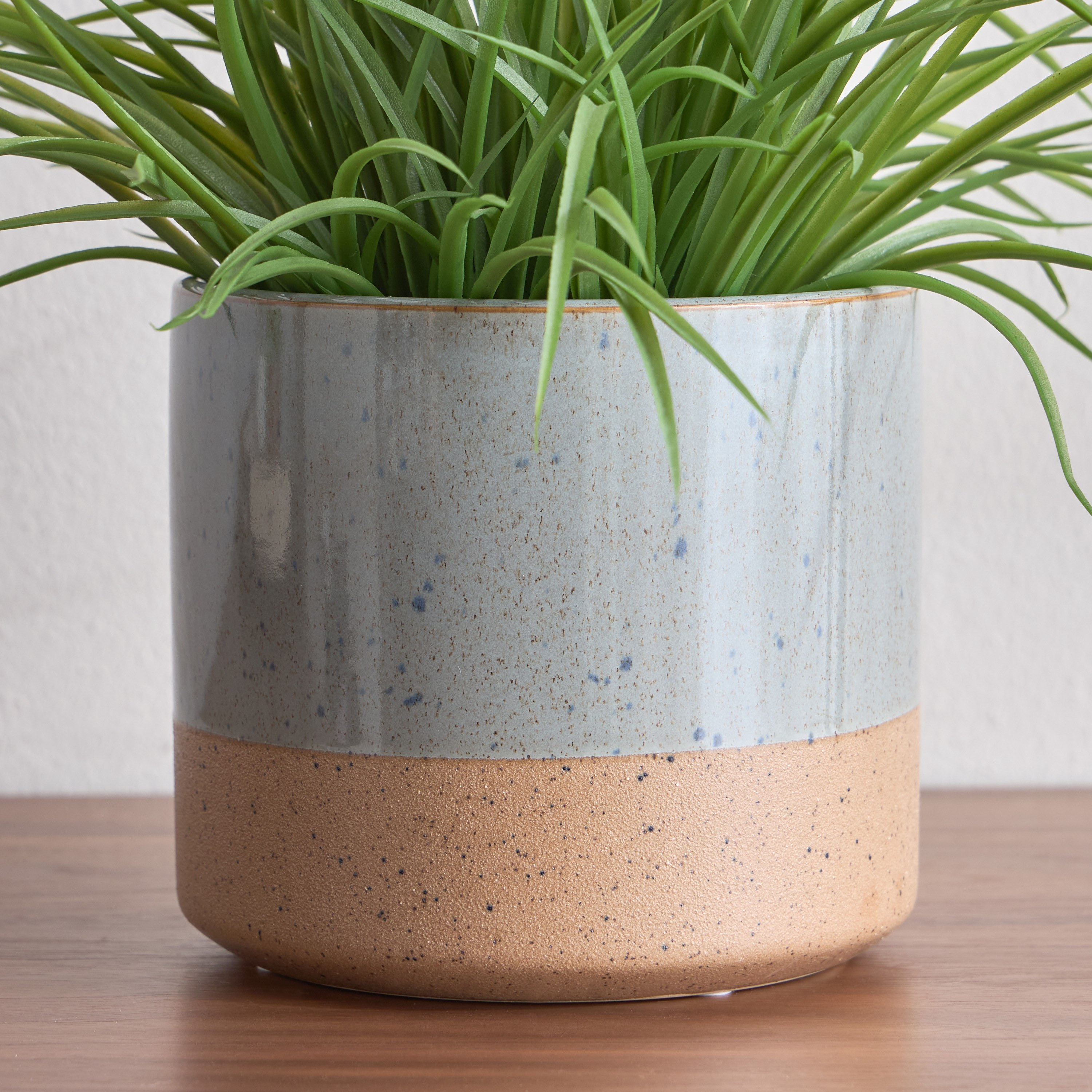 Fern Ceramic Planter - 15 cm-household-gardenandoutdoor-potsandplanters-planters-image-1