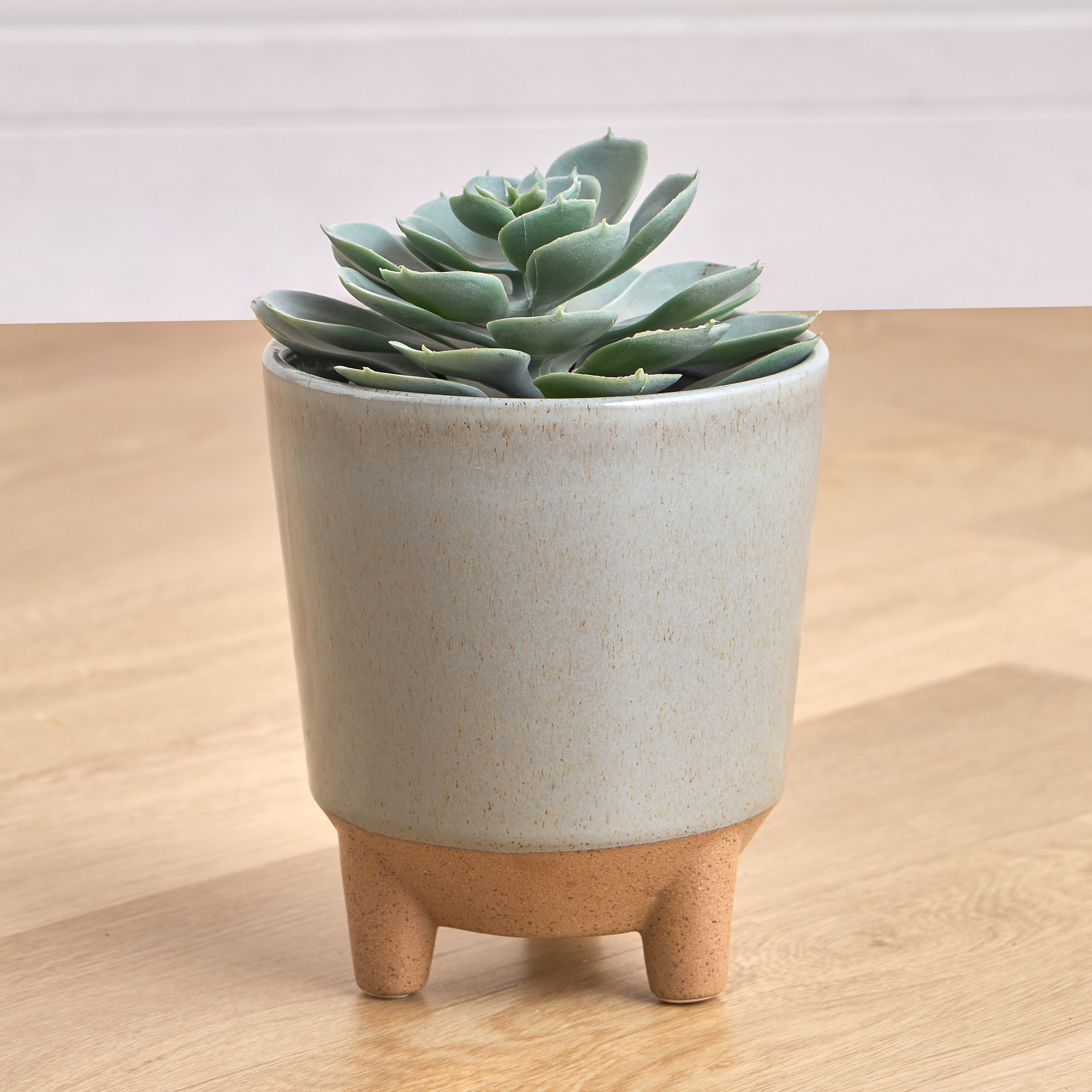 Viola Ceramic Planter - 15 cm-household-gardenandoutdoor-potsandplanters-planters-image-1