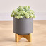 Camella Ceramic Planter with Stand - 22 cm-household-gardenandoutdoor-potsandplanters-planters-image-1