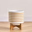 أصيص سيراميك - كليماتيس - 29 سم-household-gardenandoutdoor-potsandplanters-planters-image-5